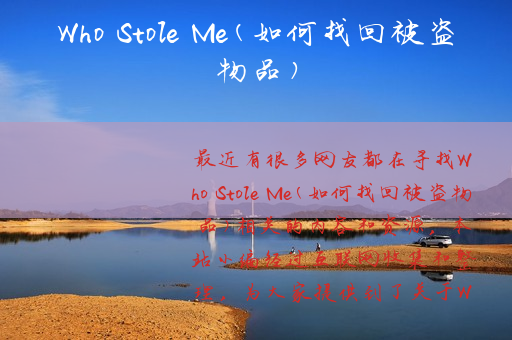 Who Stole Me(如何找回被盗物品)