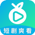滨果大全app安卓版 v1.0.0