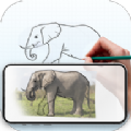 Draw: Trace  Sketch绘画app手机版 v1.7