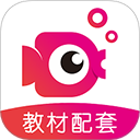 鲤鱼辅导app